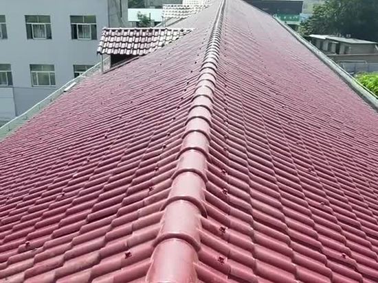 視頻展示