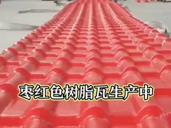 視頻展示
